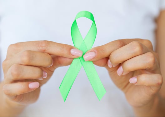 The Role of LLMDs and LLNPs in Lyme Disease Diagnosis and Treatment